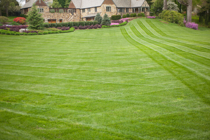 Lawn care by Ambassador Lawn & Landscape Maintenance.