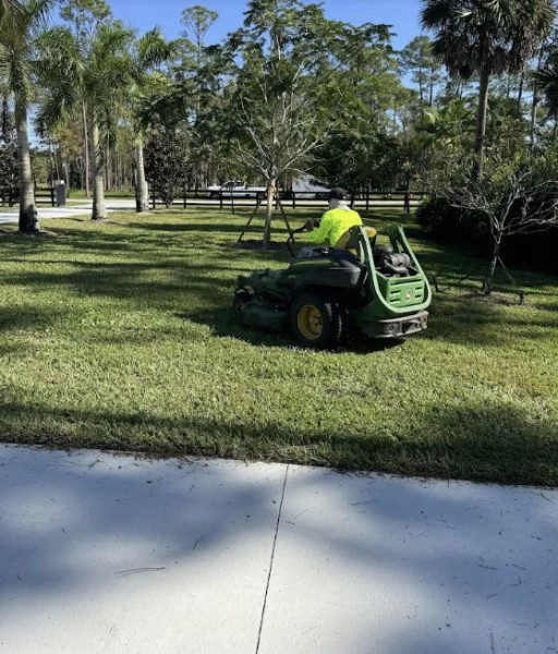 Mowing in Royal Palm Beach, FL (1)